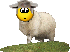 :sheep: